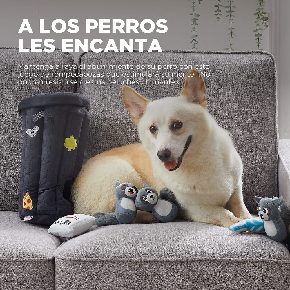 Outward Hound trois ratons laveurs en peluche montrant textures et couineurs