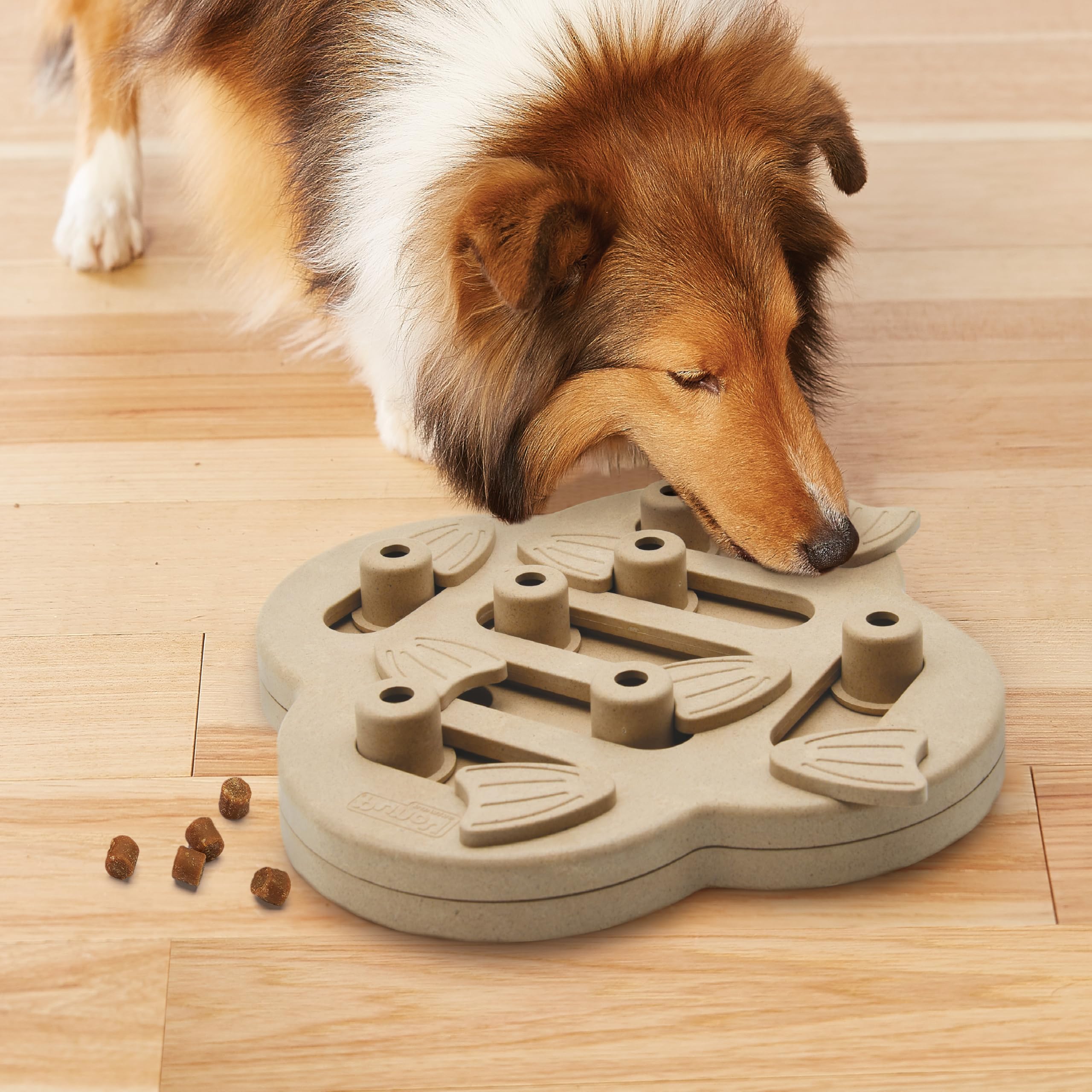 Outward Hound puzzle posé dans un salon montrant utilisation en environnement domestique