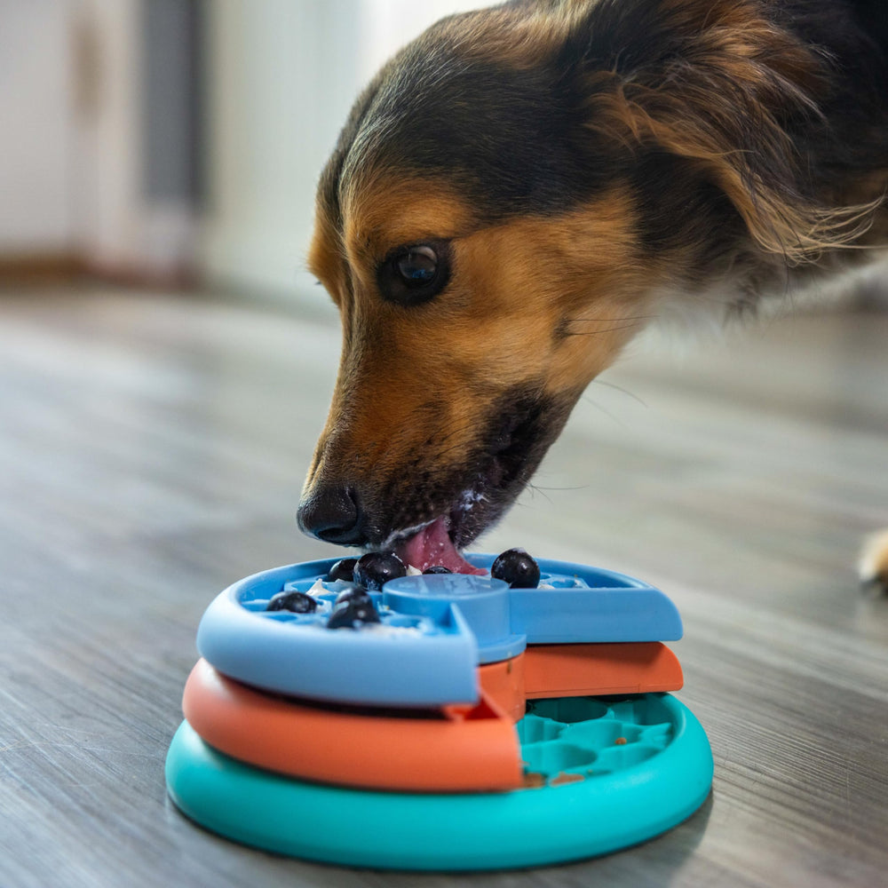 Outward Hound comparaison avec main pour évaluer la taille 7 pouces