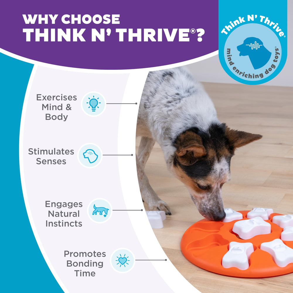 Outward Hound plateau rempli de croquettes pour ralentir la prise alimentaire