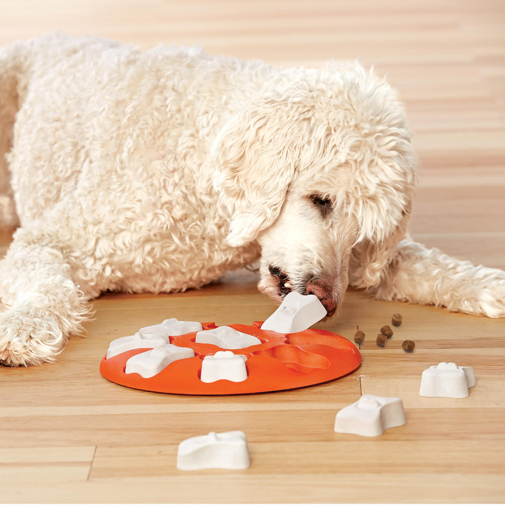Outward Hound emballage montrant matériaux sans BPA et informations produit