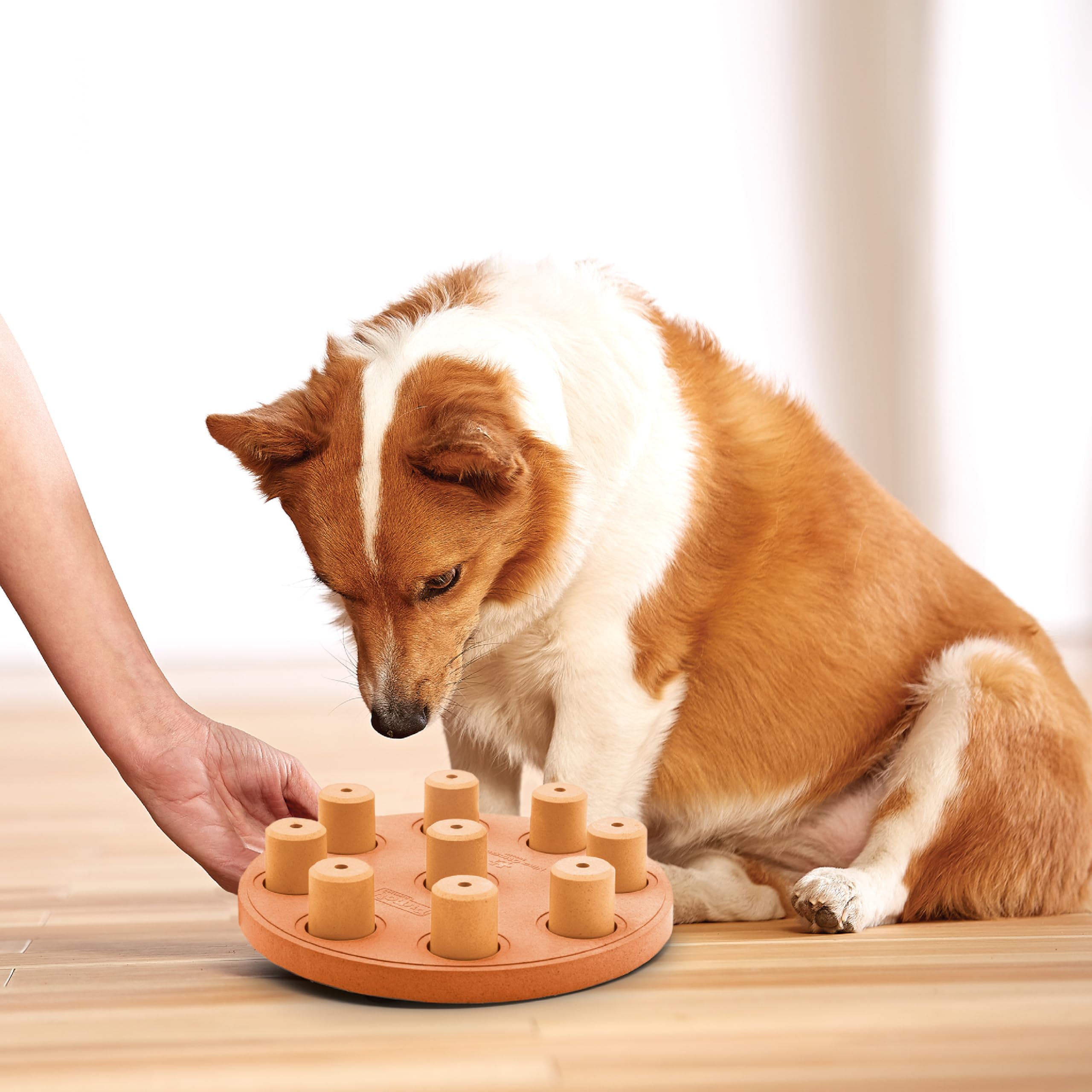 Outward Hound Nina Ottosson puzzle rempli de friandises, encourage la recherche alimentaire