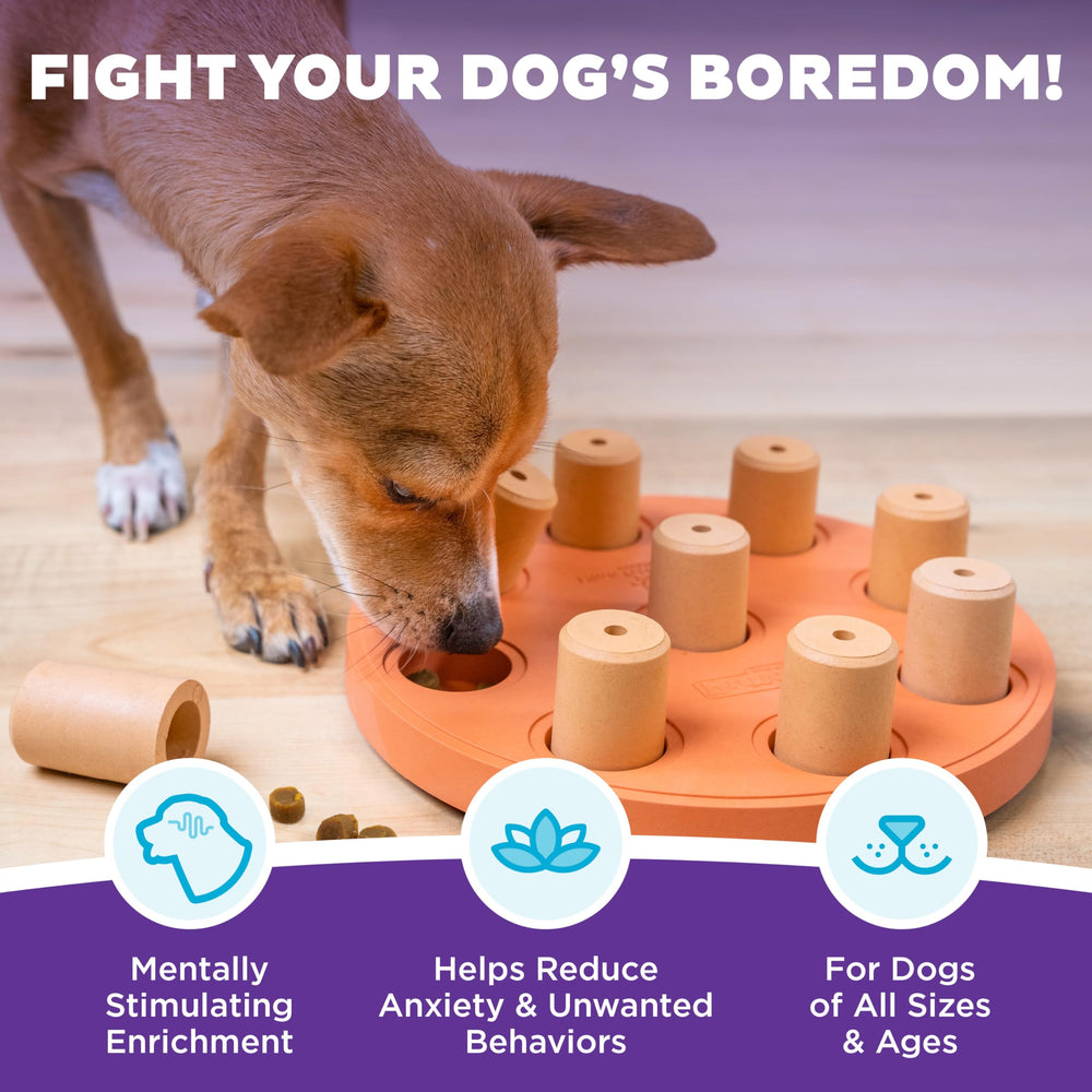 Outward Hound Nina Ottosson vue aérienne des neuf compartiments pour cacher friandises