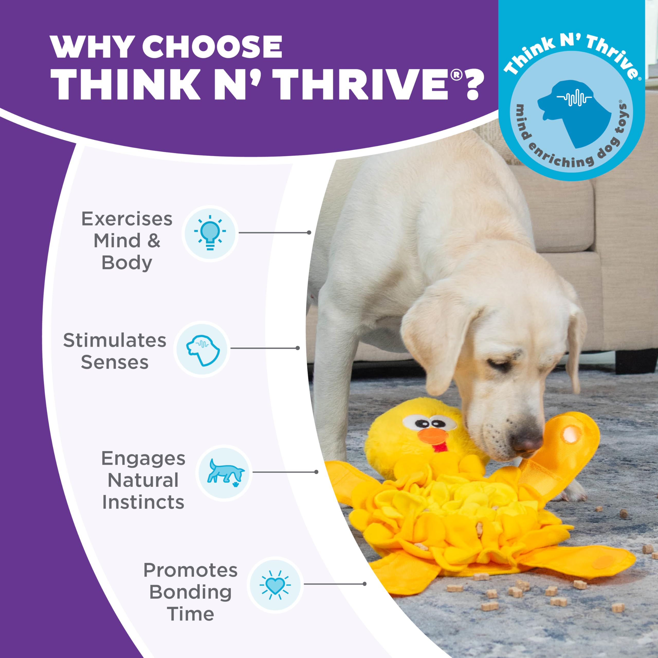 Outward Hound chien en interaction montrant stimulation mentale active