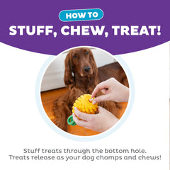 Outward Hound cavité ouverte pour friandises, favorise l'enrichissement mental