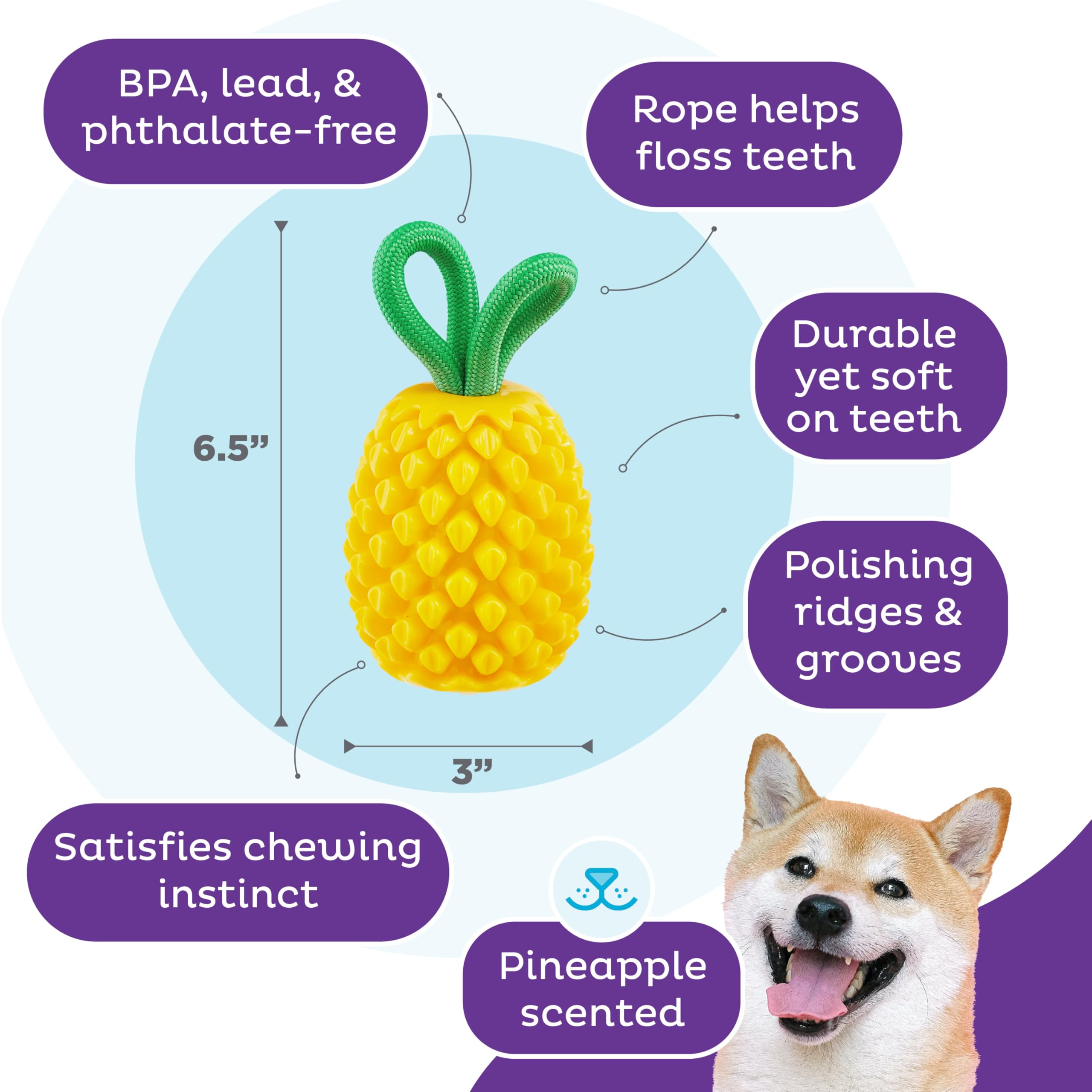 Outward Hound corde intégrée visible, idéale pour tir à la corde actif