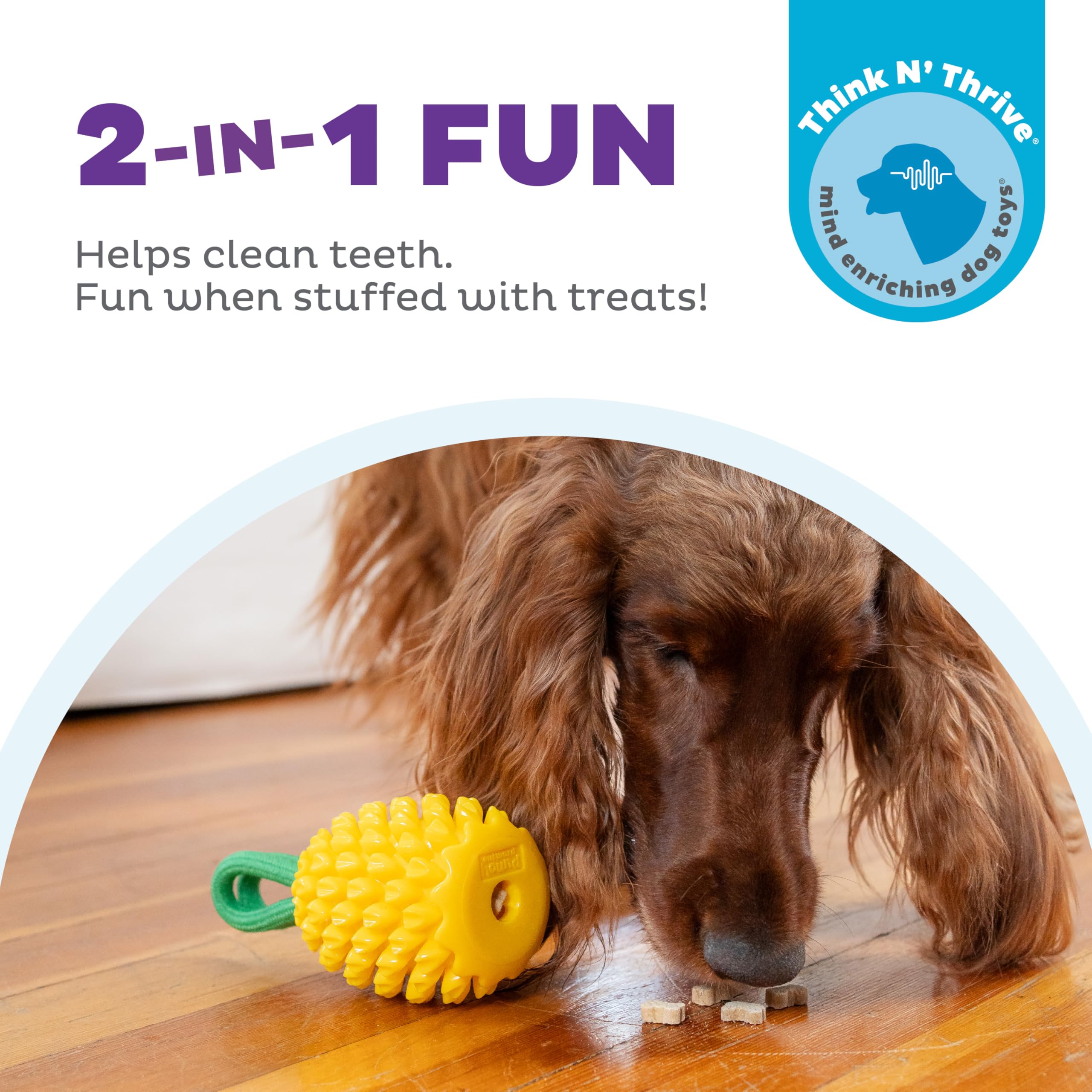 Outward Hound gros plan sur la texture, nettoie doucement les dents