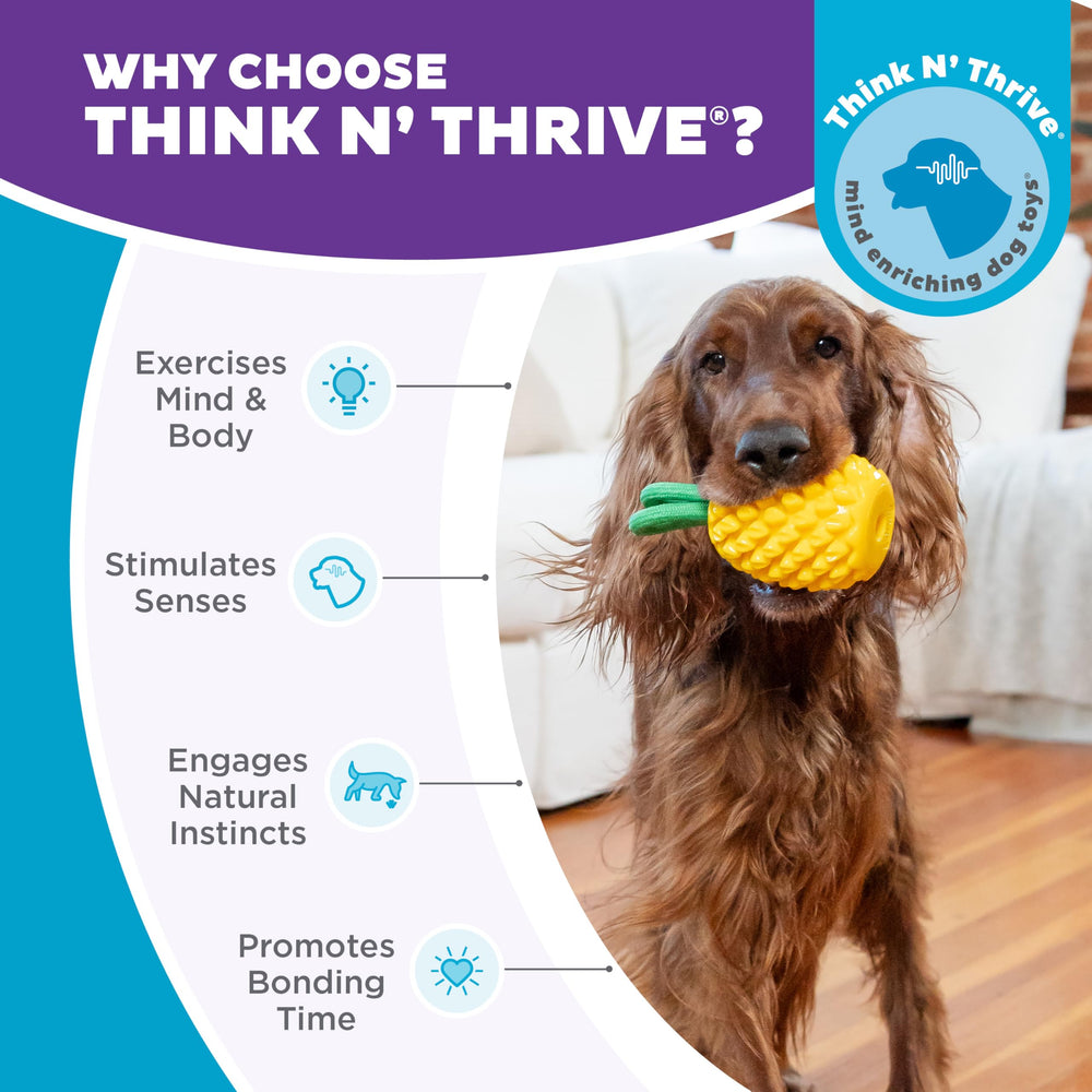 Outward Hound partie corde en usage, promeut mastication et interaction