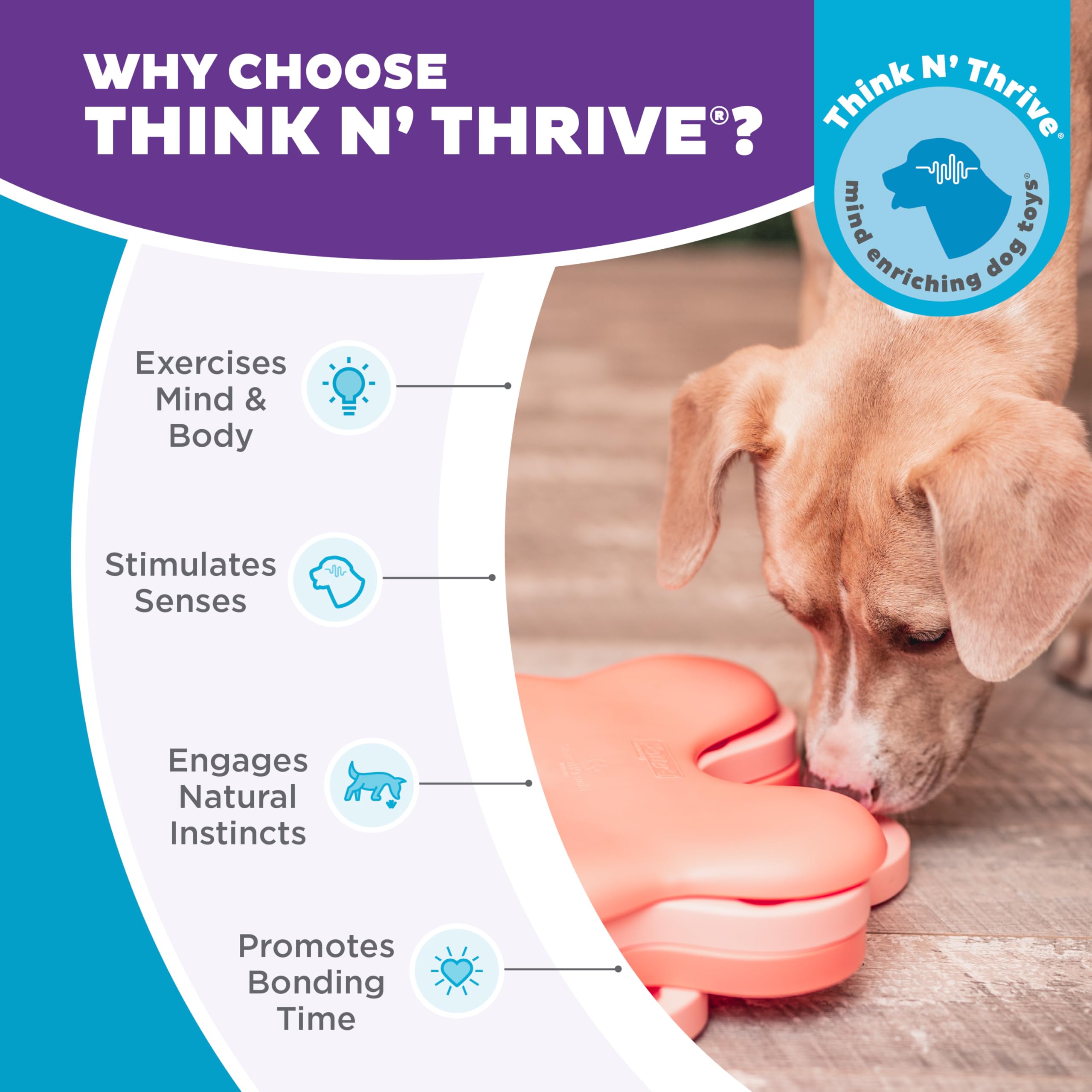 Outward Hound gros plan matériau sûr facile à nettoyer et durable