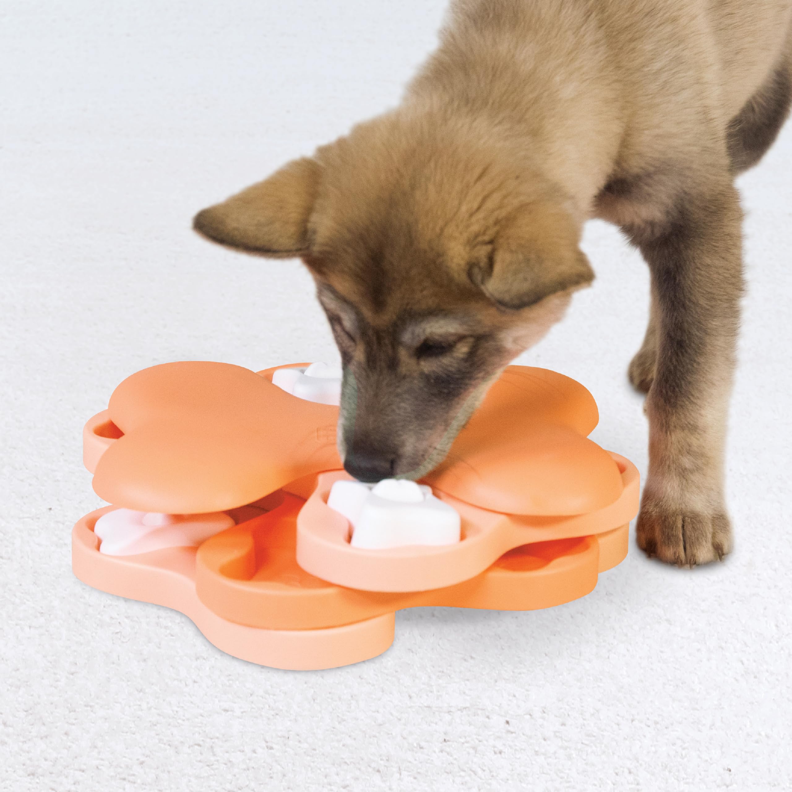 Outward Hound puzzle rempli de croquettes pour ralentir repas du chien