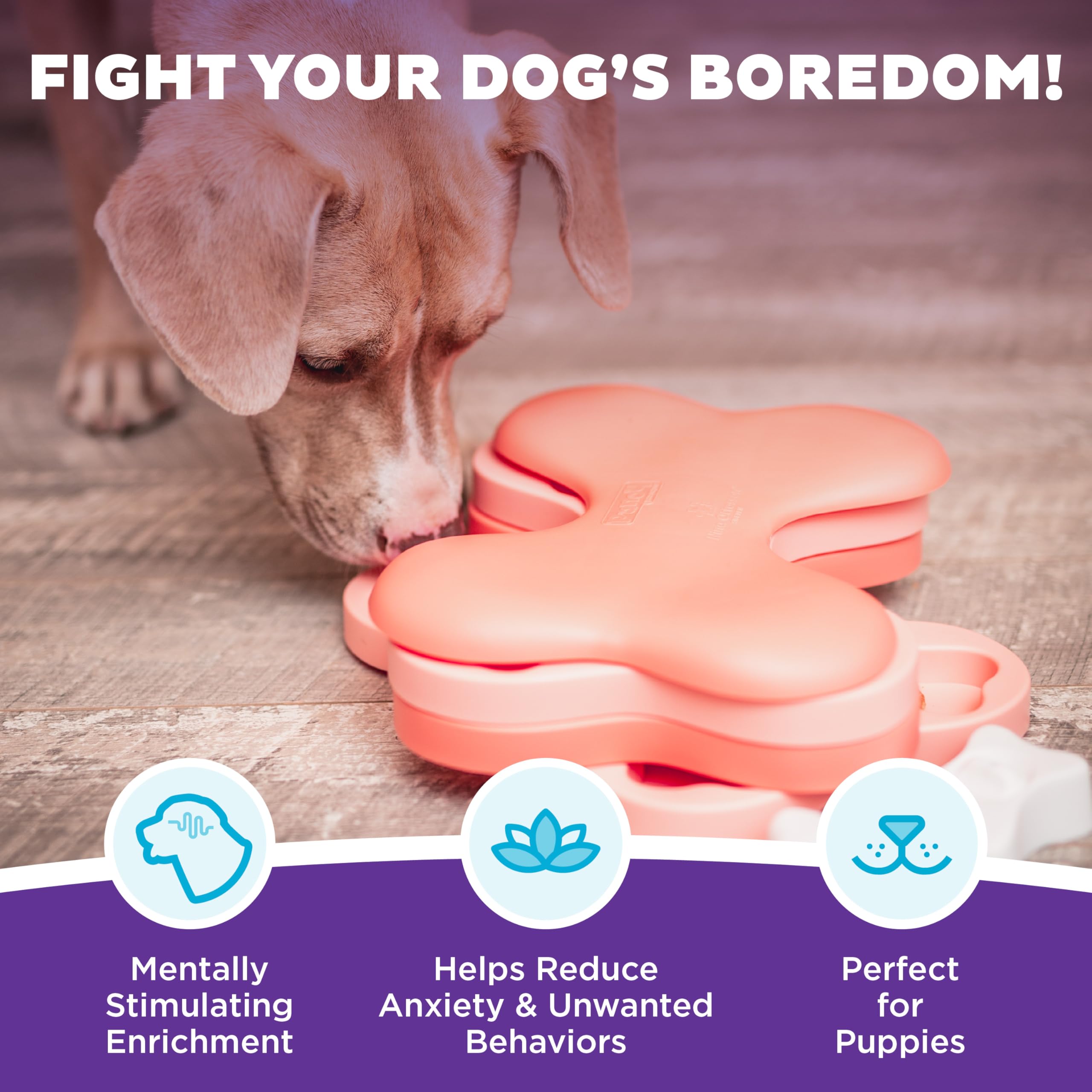 Outward Hound gros plan des trois niveaux montrant compartiments utiles