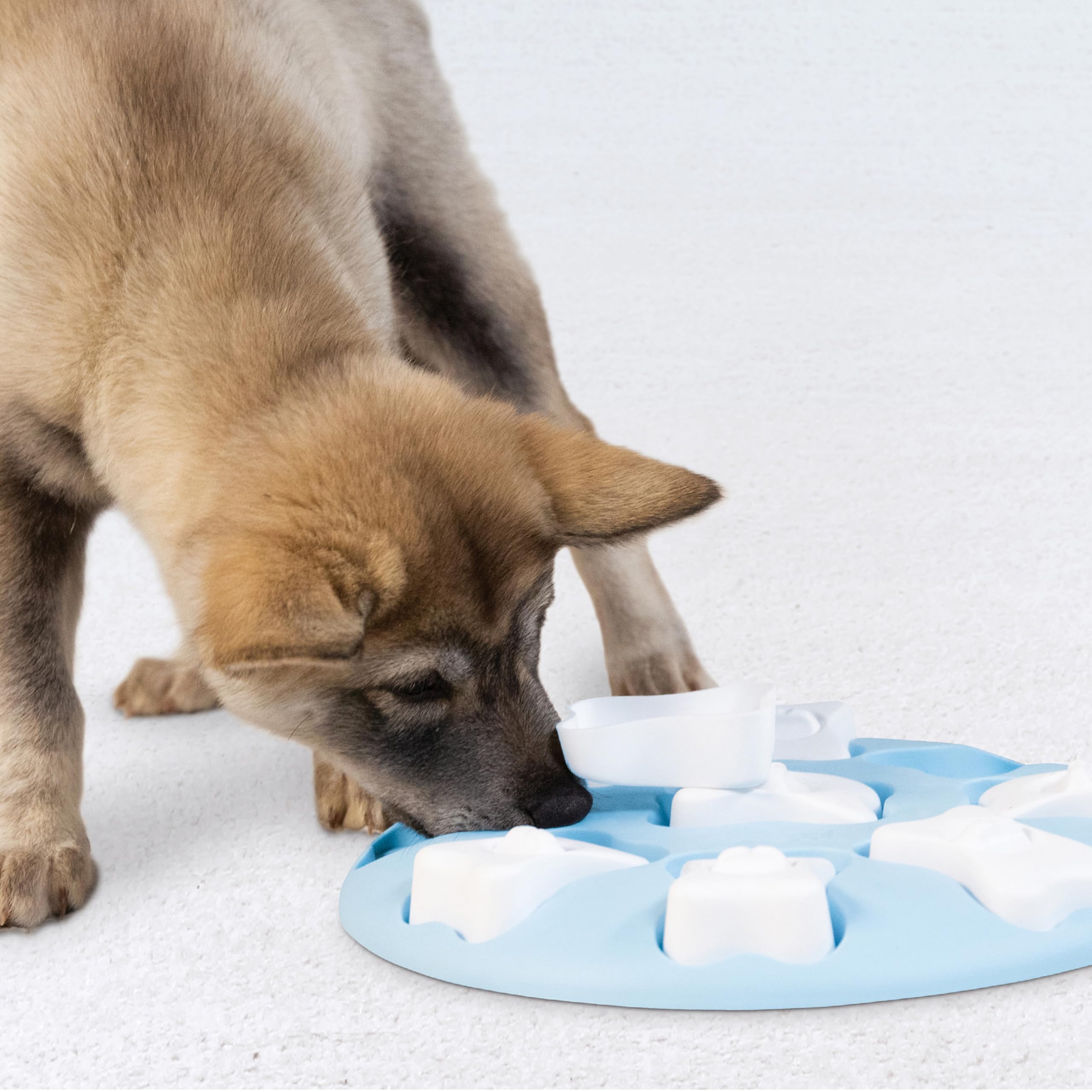 Outward Hound puzzle en situation salon démontrant usage supervisé en routine quotidienne
