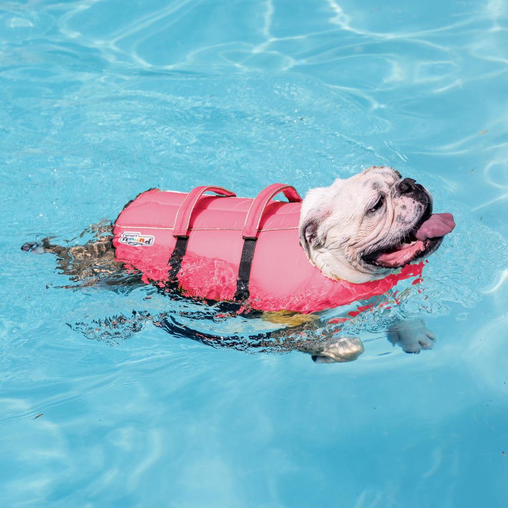 Outward Hound bandes réfléchissantes et couleur vive pour visibilité