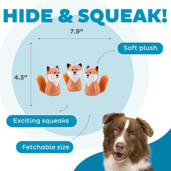 Outward Hound renard en jeu de rapport encourage l'activité physique