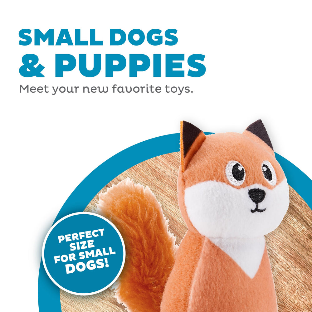 Outward Hound renard comparaison taille montre dimension pratique