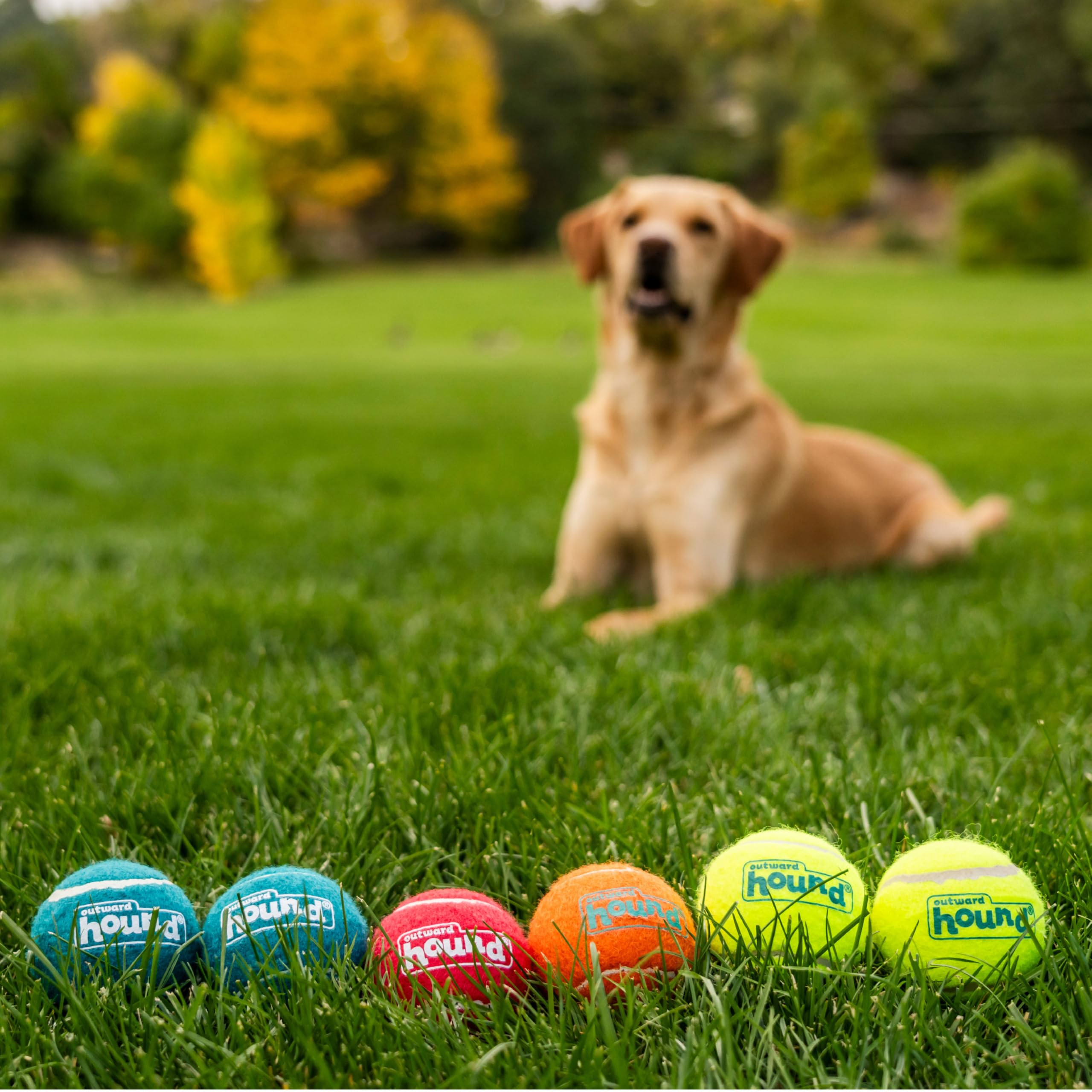 Disposition six balles Outward Hound montrant quantité idéale pour familles actives