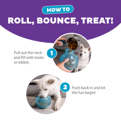 Outward Hound chien jouant avec le Snoop pour stimulation mentale supervisée