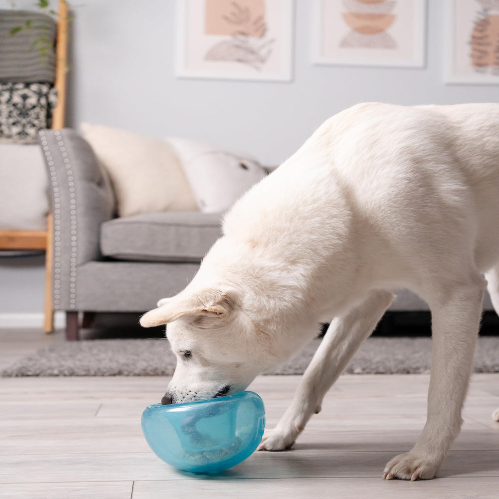 Outward Hound nettoyage du Snoop avec eau et savon pour entretien facile