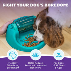 Outward Hound bol labyrinthe avec compartiments pour étendre la durée du repas