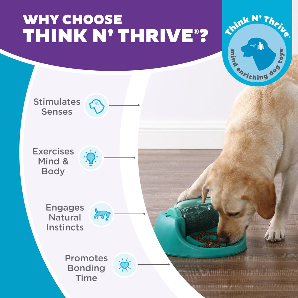 Outward Hound matériau sans BPA illustré pour sécurité alimentaire et durabilité