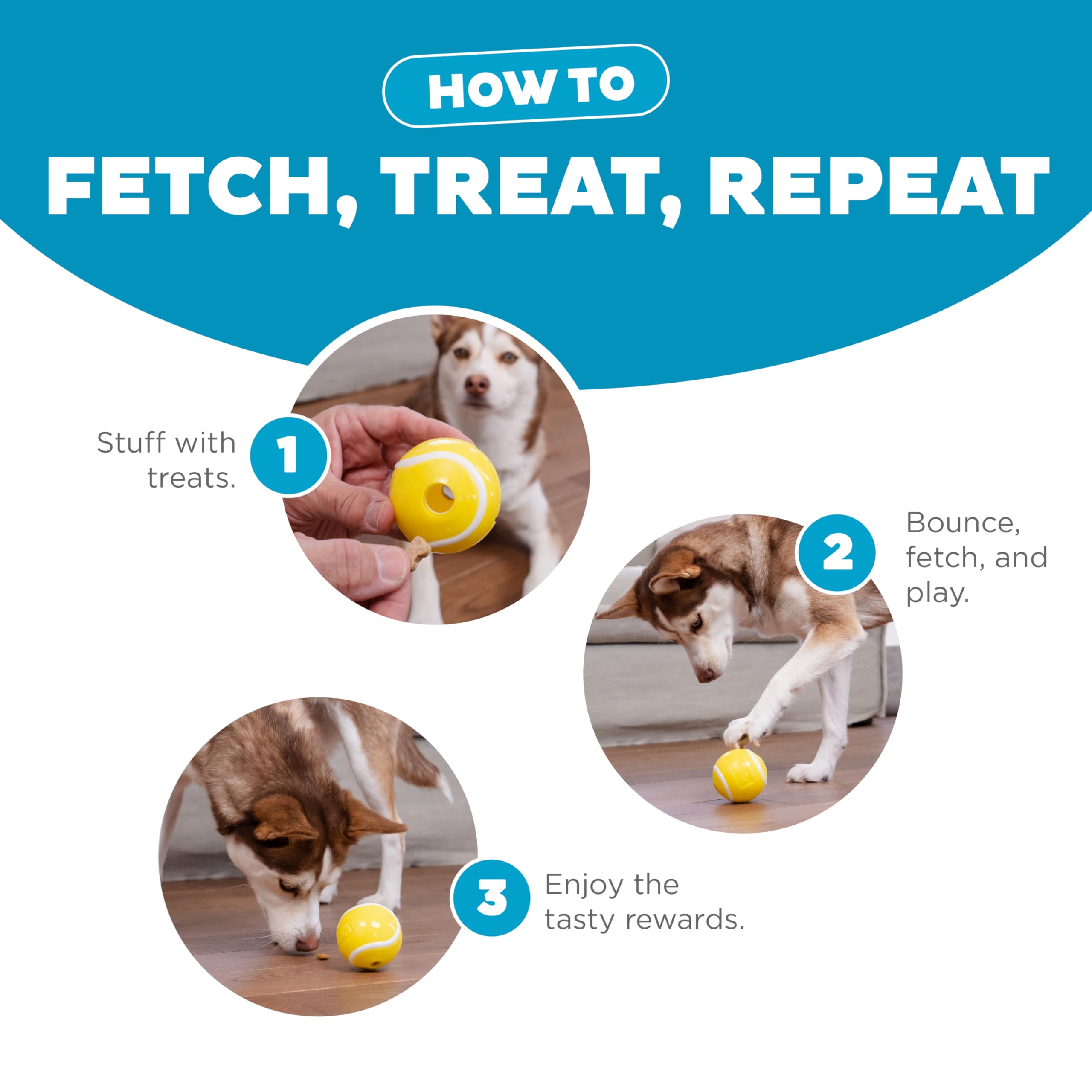 Outward Hound chien rapportant la balle démontrant activité physique et plaisir
