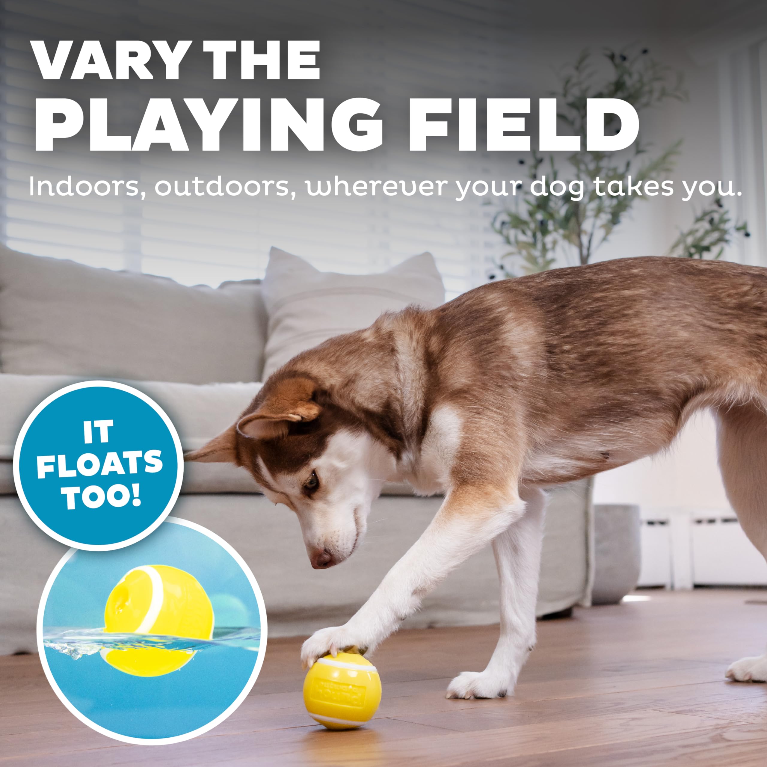 Outward Hound comparaison de tailles montrant choix adapté selon la mâchoire du chien