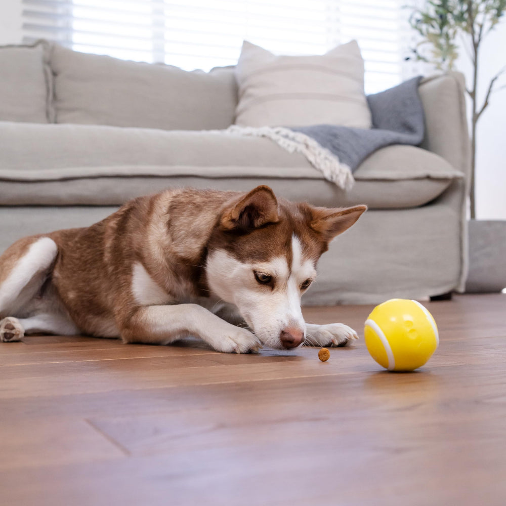 Outward Hound emballage et étiquette montrant informations produit et sécurité