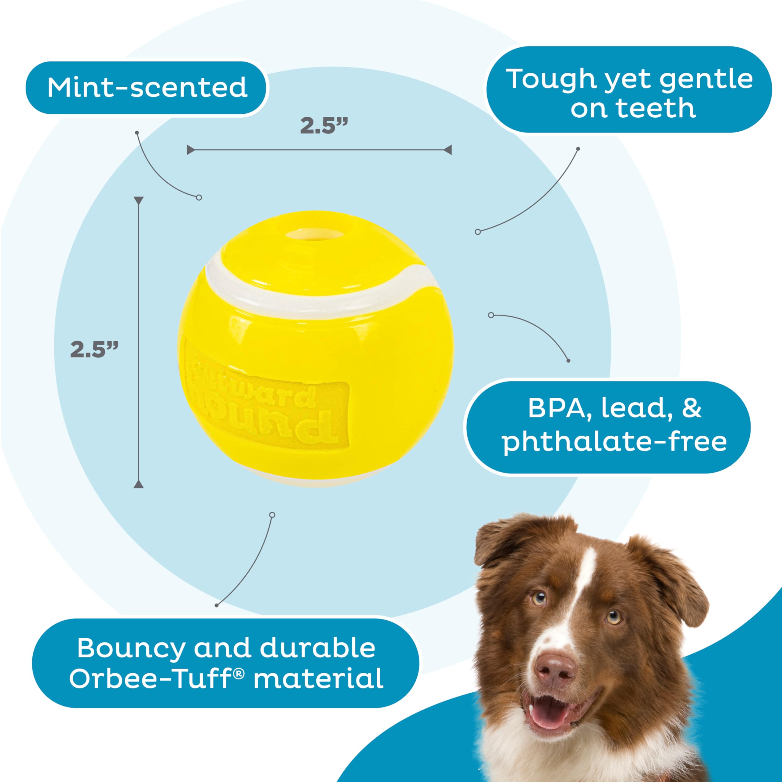 Outward Hound balle flottant sur l'eau illustrant jeu aquatique et rebond bénéfique
