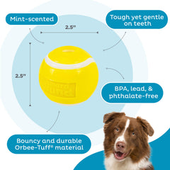 Outward Hound balle flottant sur l'eau illustrant jeu aquatique et rebond bénéfique