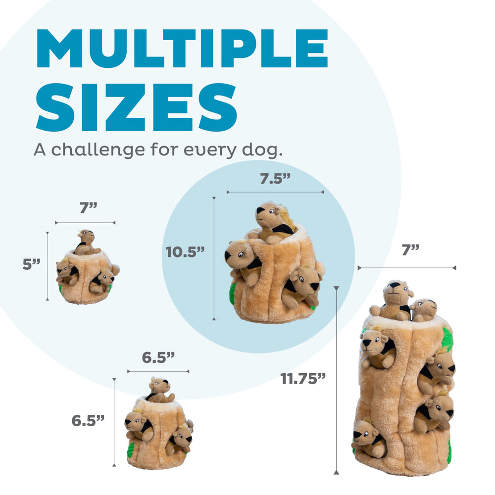 Outward Hound comparaison taille pour choisir chien adapté