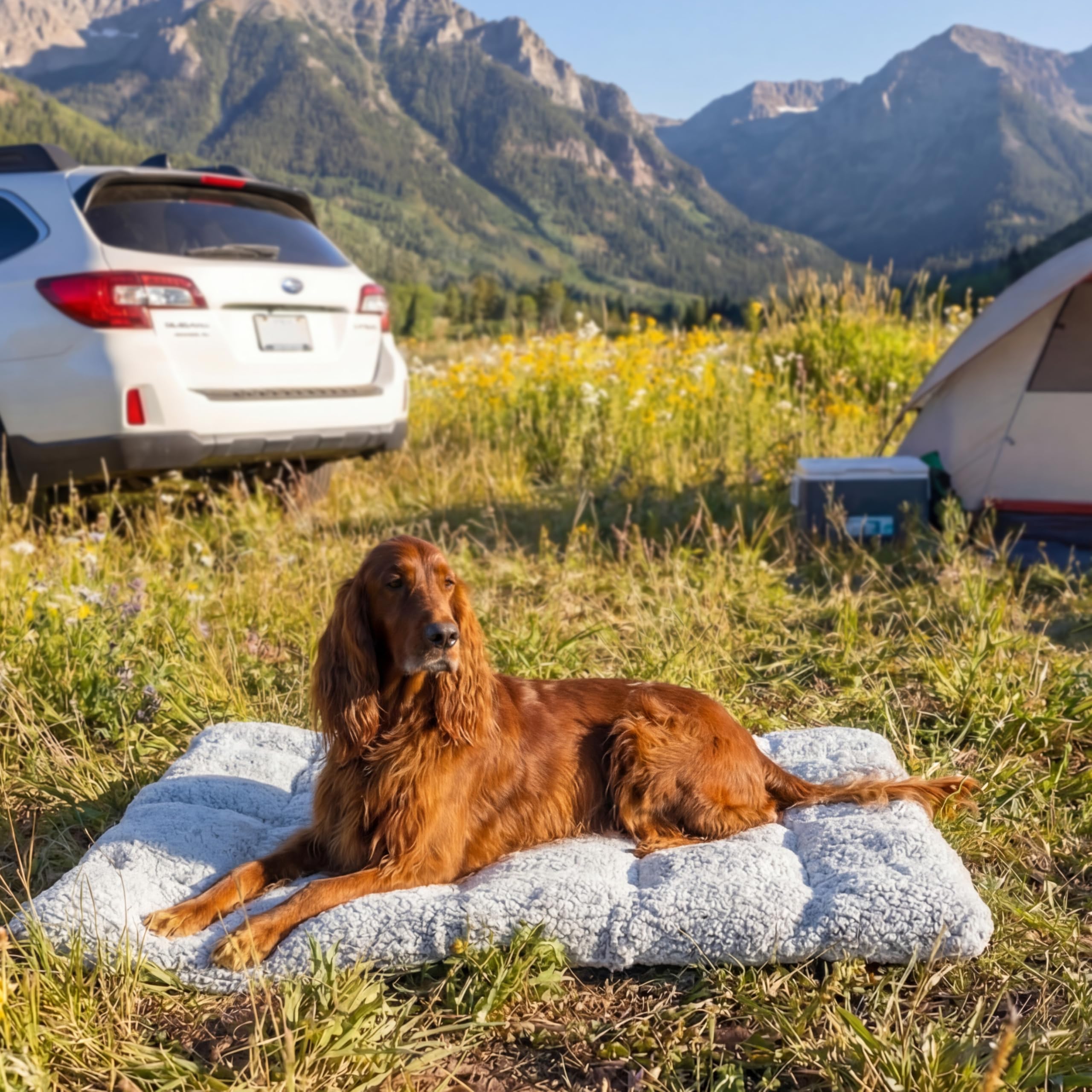 Outward Hound tapis roulé attaché avec boucle pour un transport facile
