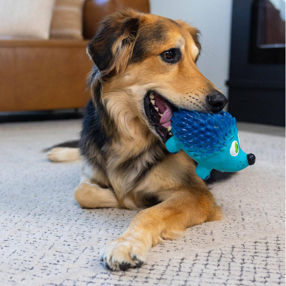 Outward Hound détail de la valve sonore, produit un grognement amusant