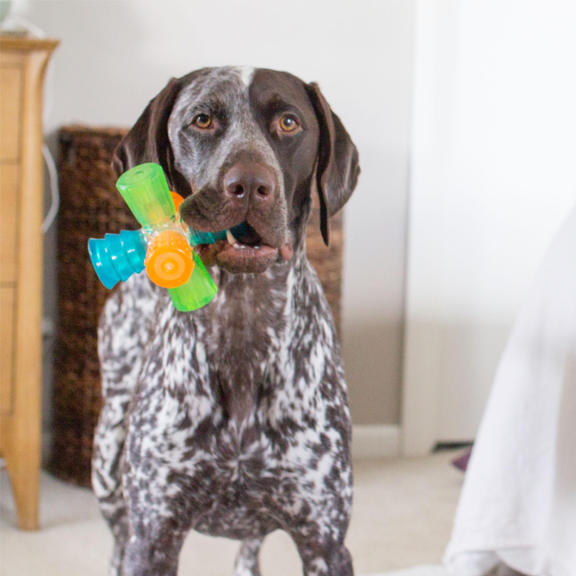 Outward Hound nettoyage du Triple Jack à l'eau savonneuse, entretien facile et hygiénique