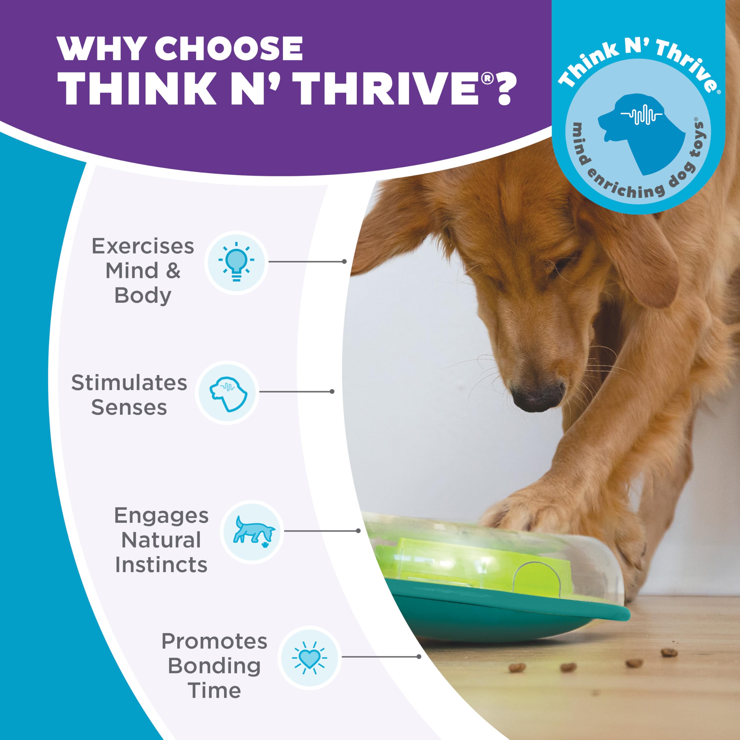 Outward Hound couvercle amovible facilitant le nettoyage et l'ajustement