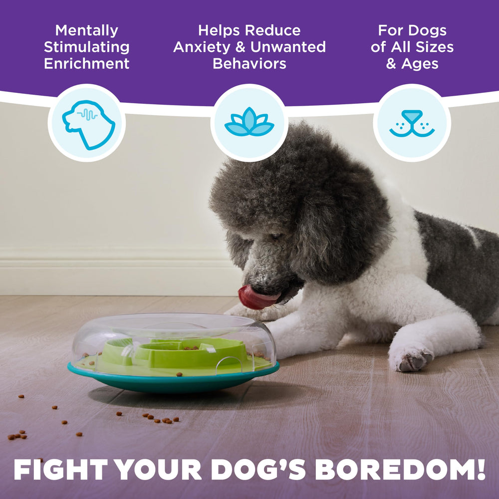 Outward Hound matériaux sûrs sans BPA pour durabilité et sécurité