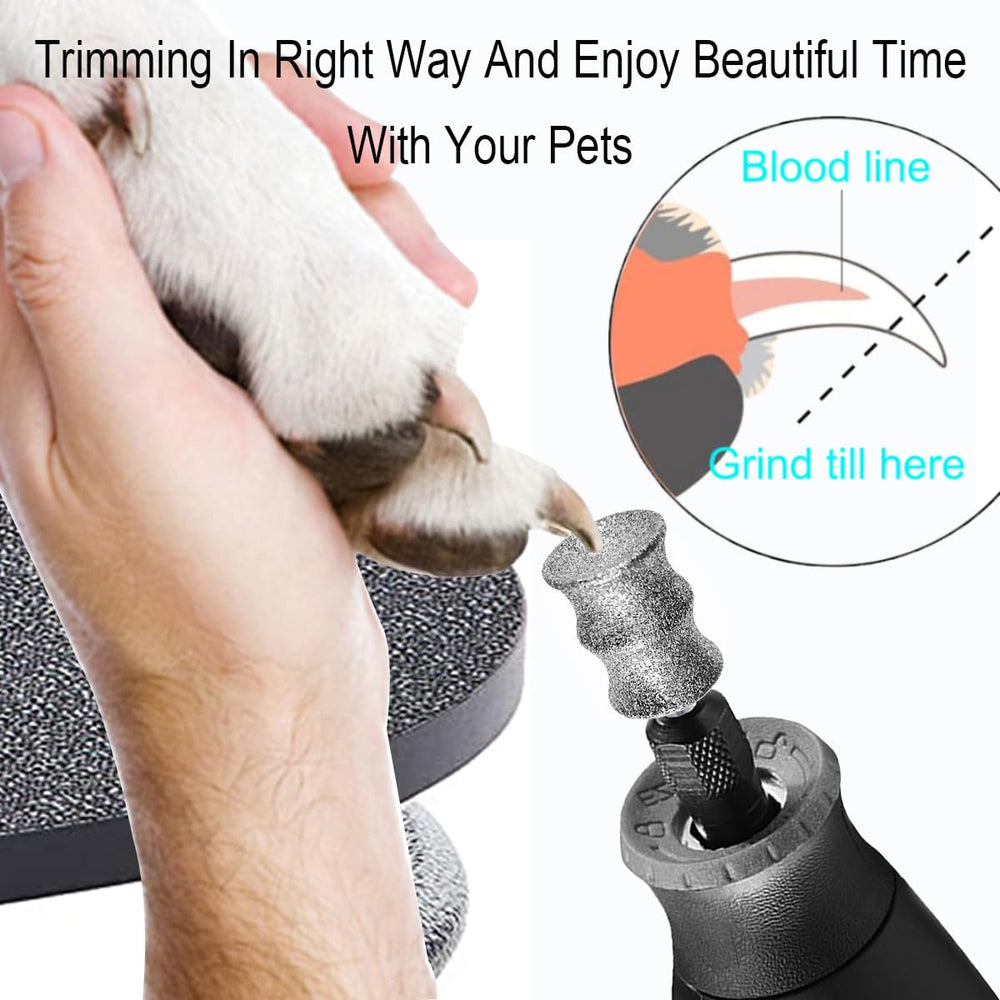 OVATAVO en utilisation sur ongle de chien pour coupe contrôlée
