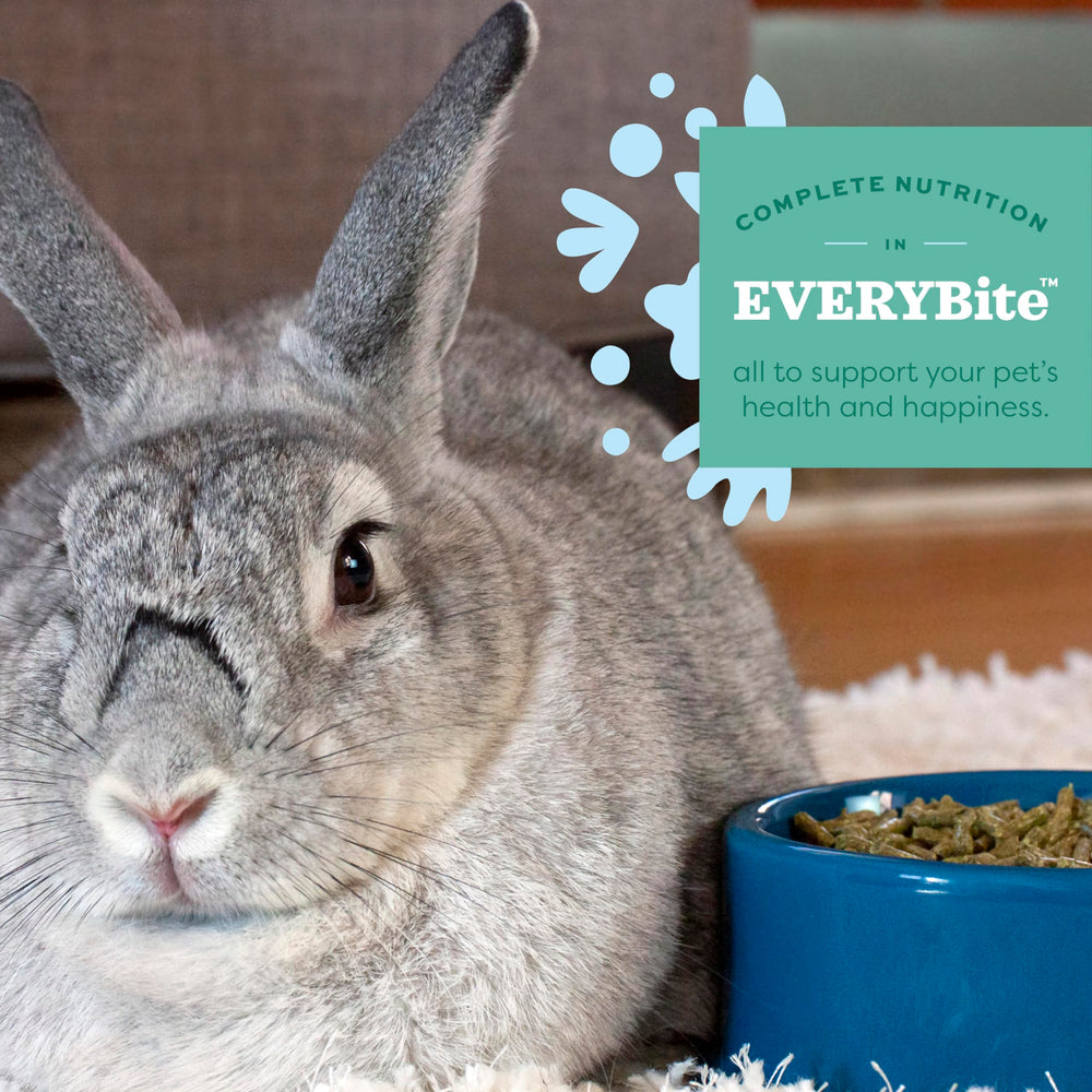 Assiette servie avec granulés Oxbow prête pour un lapin et portion contrôlée