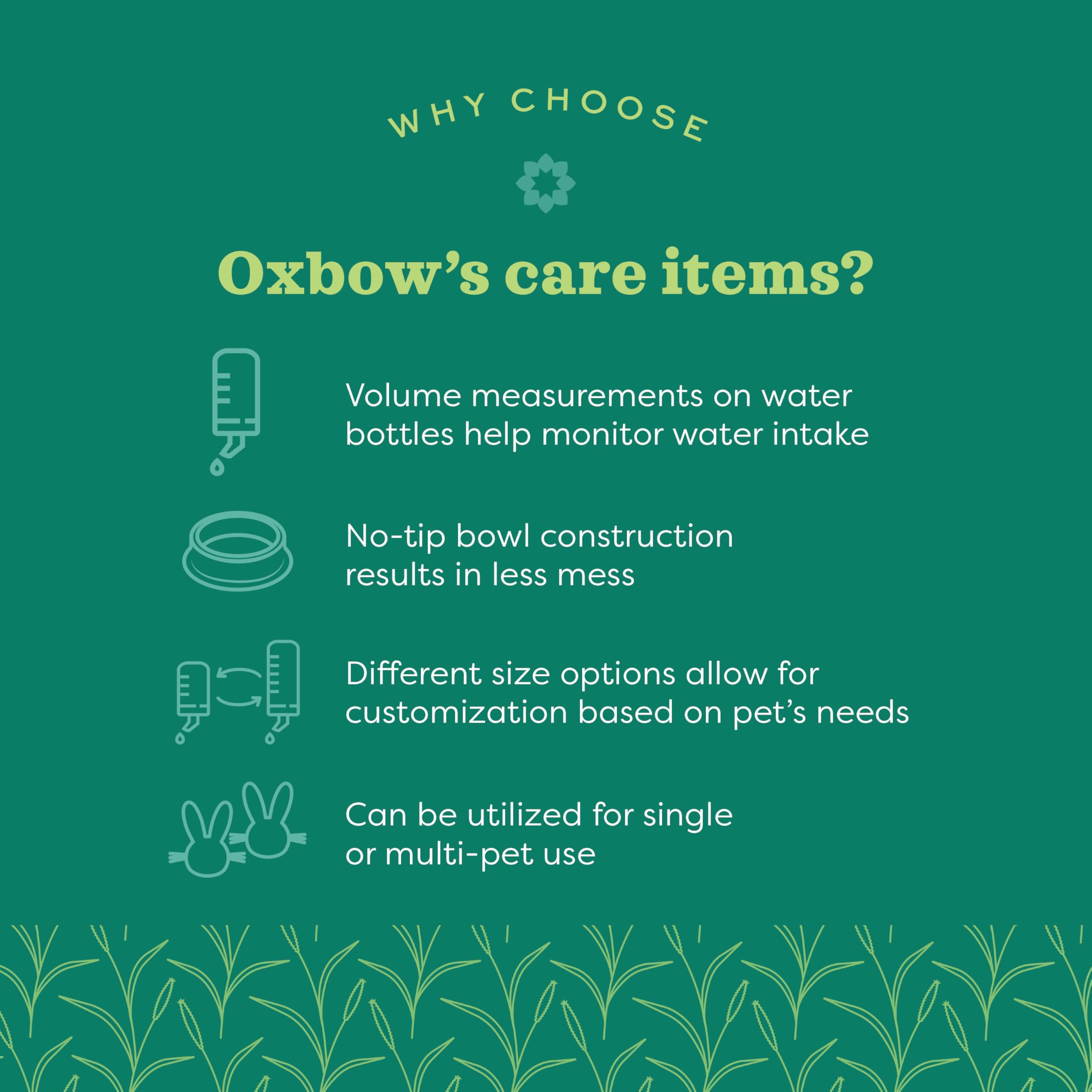 Oxbow bac posé sur sol propre démontrant nettoyage rapide et simple