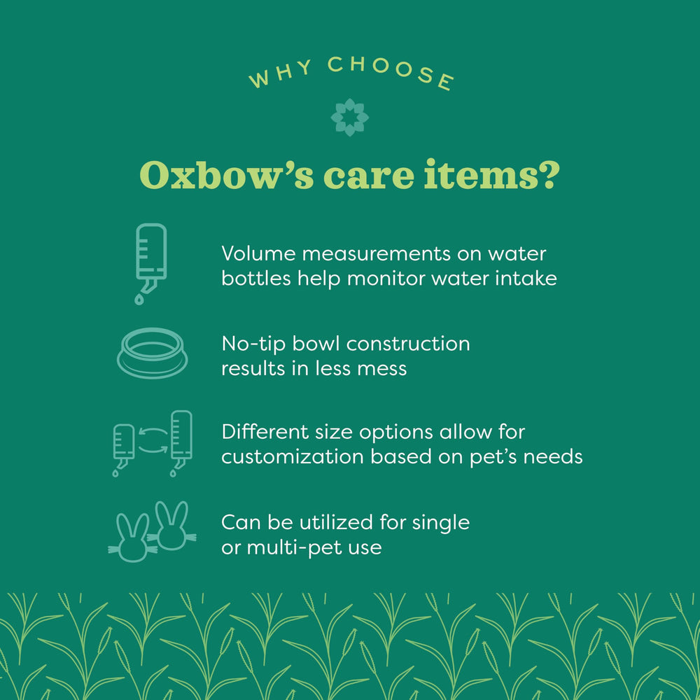 Oxbow bac posé sur sol propre démontrant nettoyage rapide et simple