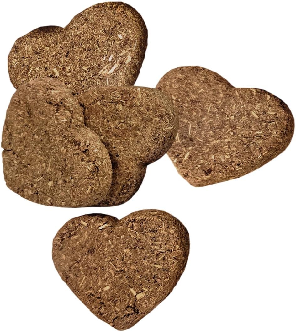 Oxbow biscuit gros plan sur la texture croquante favorisant la mastication
