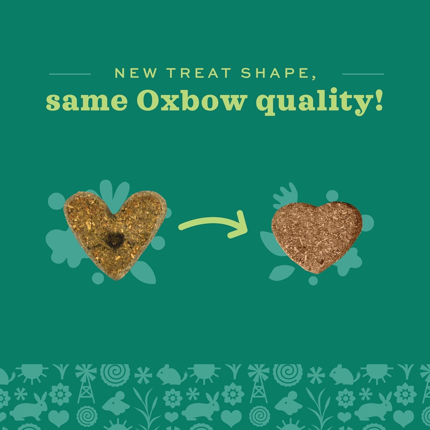 Oxbow friandises dispersées dans une cage stimulant l'exploration et le fouissage