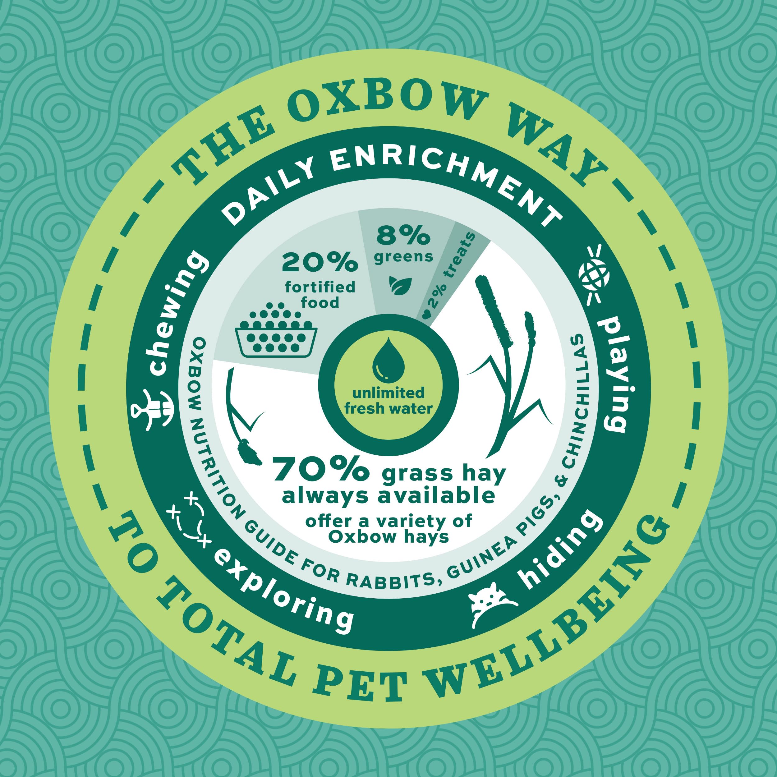 Oxbow produit installé dans une cage montrant enrichissement animal