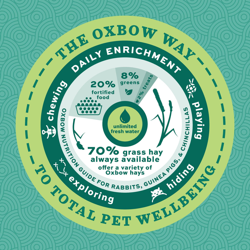 Oxbow produit installé dans une cage montrant enrichissement animal