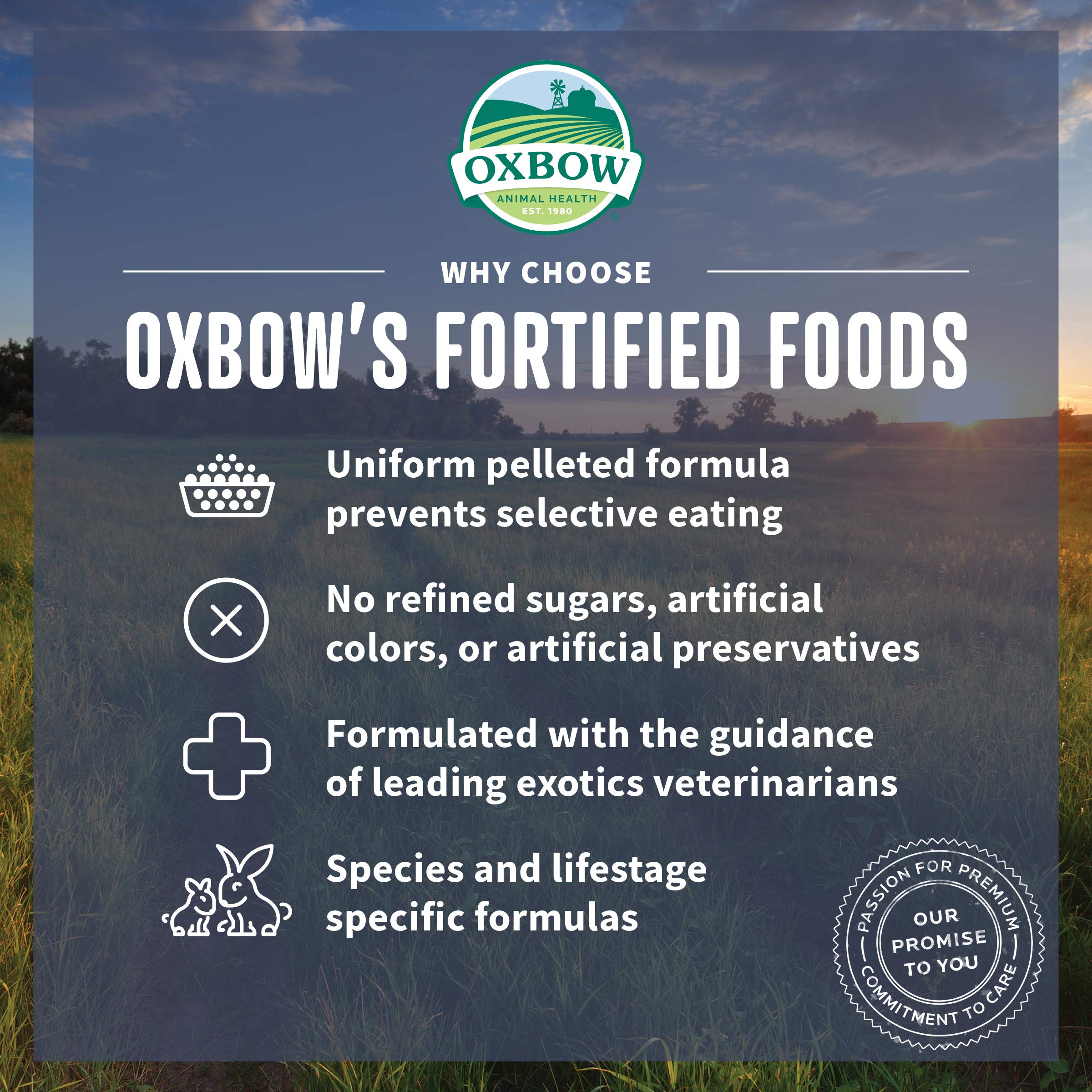 Oxbow portion de granulés dans la main pour quantités pratiques
