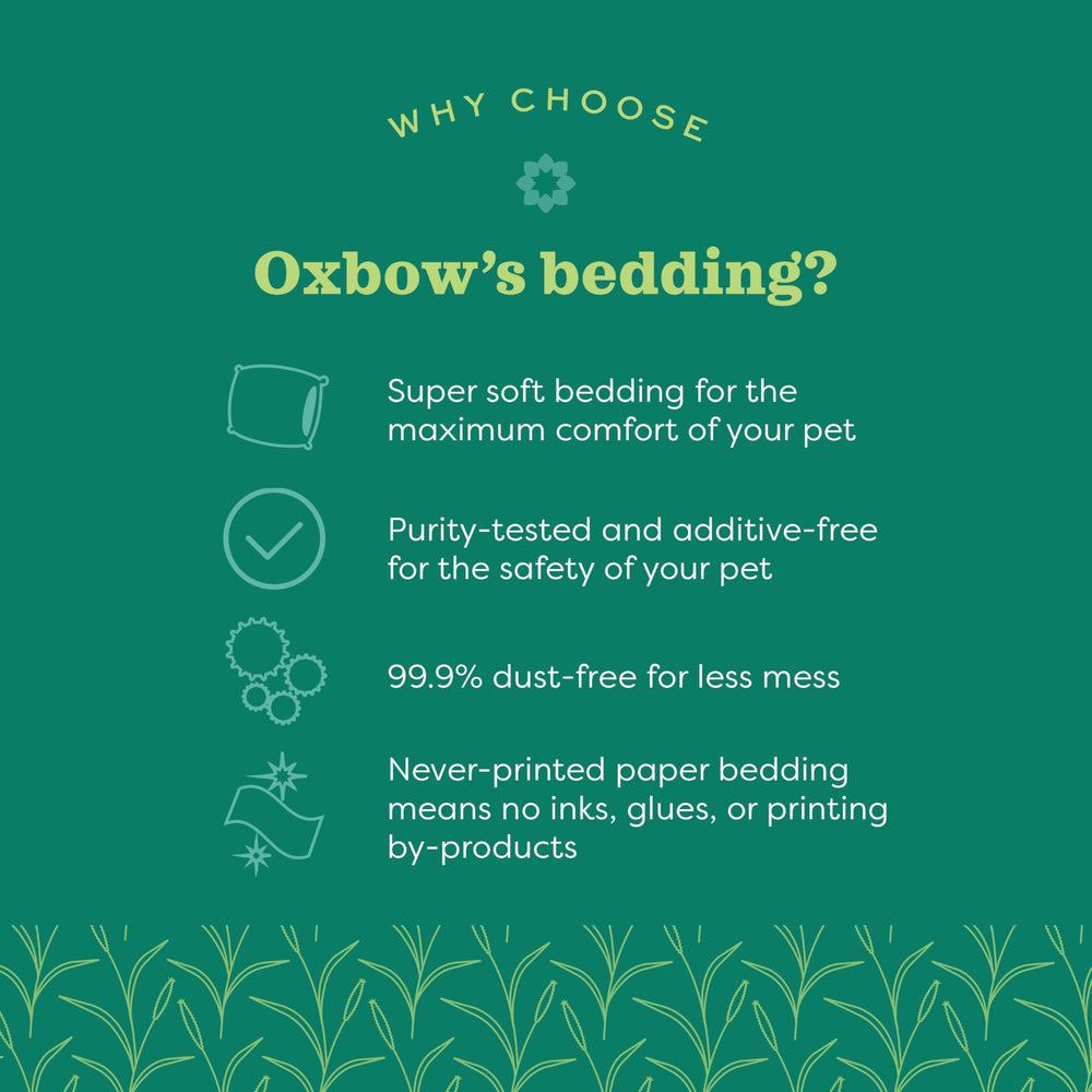 Vue rapprochée des fibres de papier Oxbow montrant faible poussière