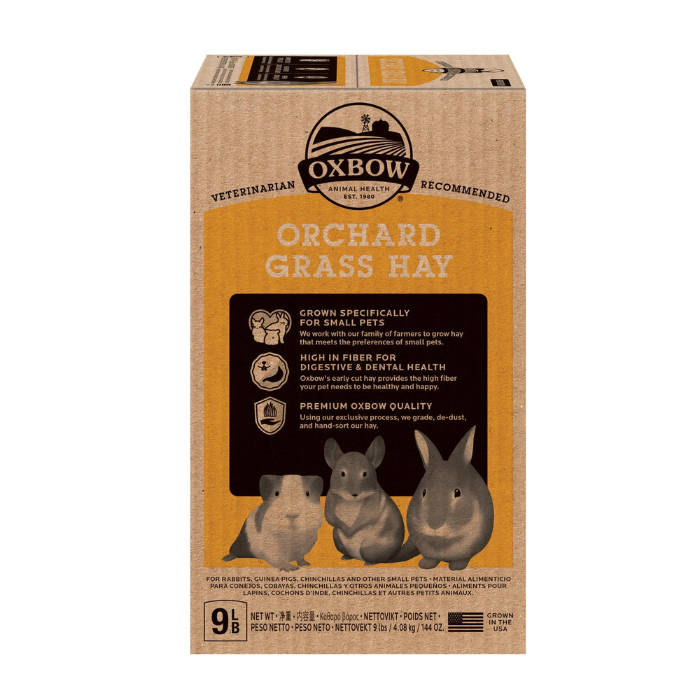 Détail sans poussière du foin Oxbow orchard pour confort respiratoire