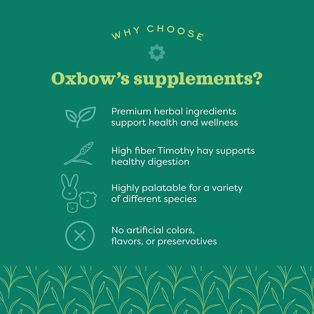 Oxbow gros plan texture foin illustrant fibre et support digestif