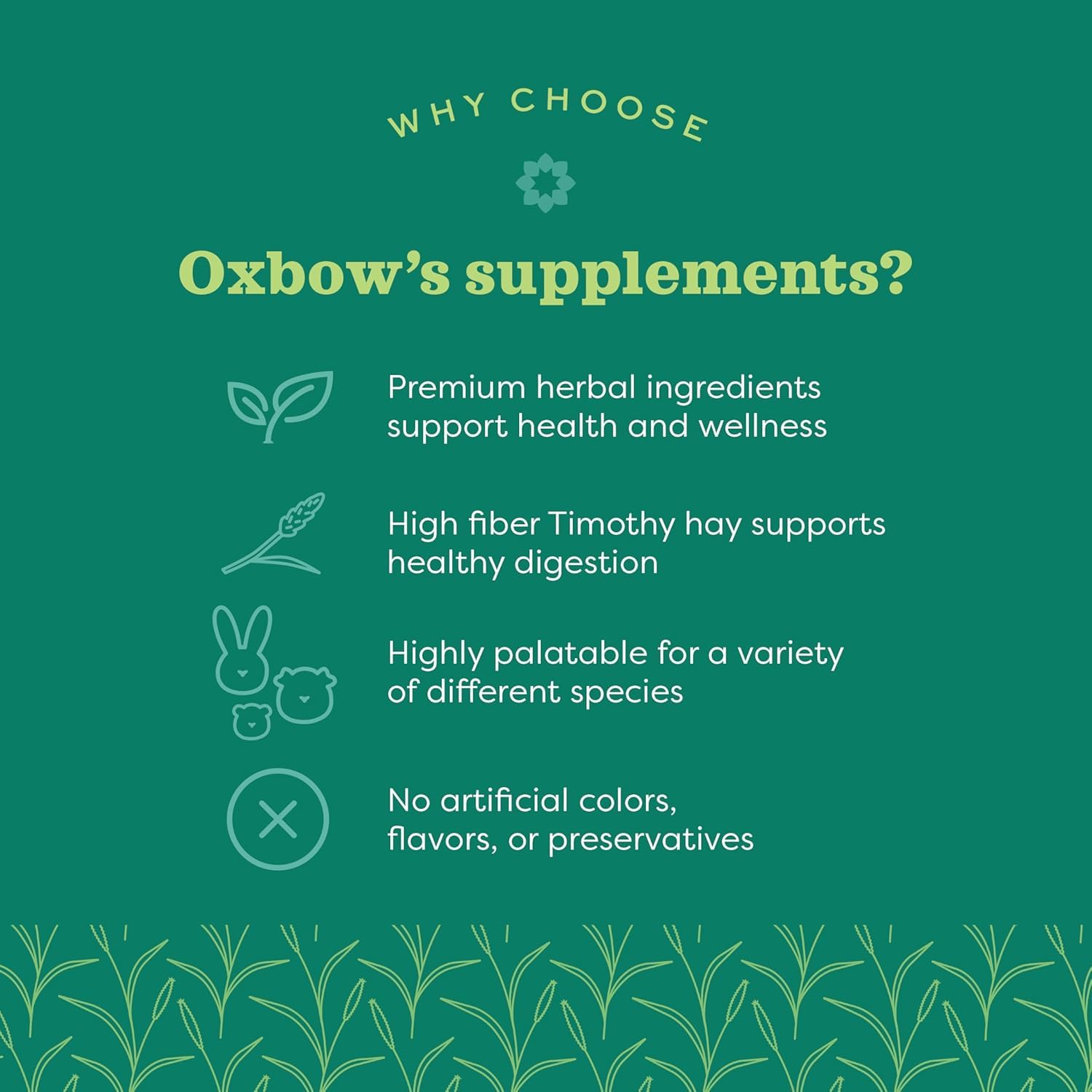 Oxbow comprimés gros plan montrant texture et facilité d'administration