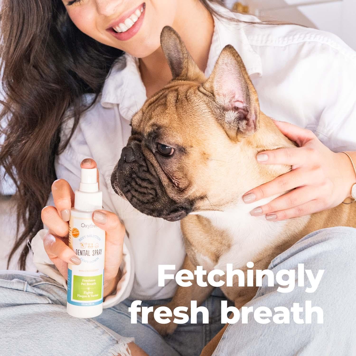 Chat ou chien buvant de l’eau traitée Oxyfresh pour entretien bucco-dentaire