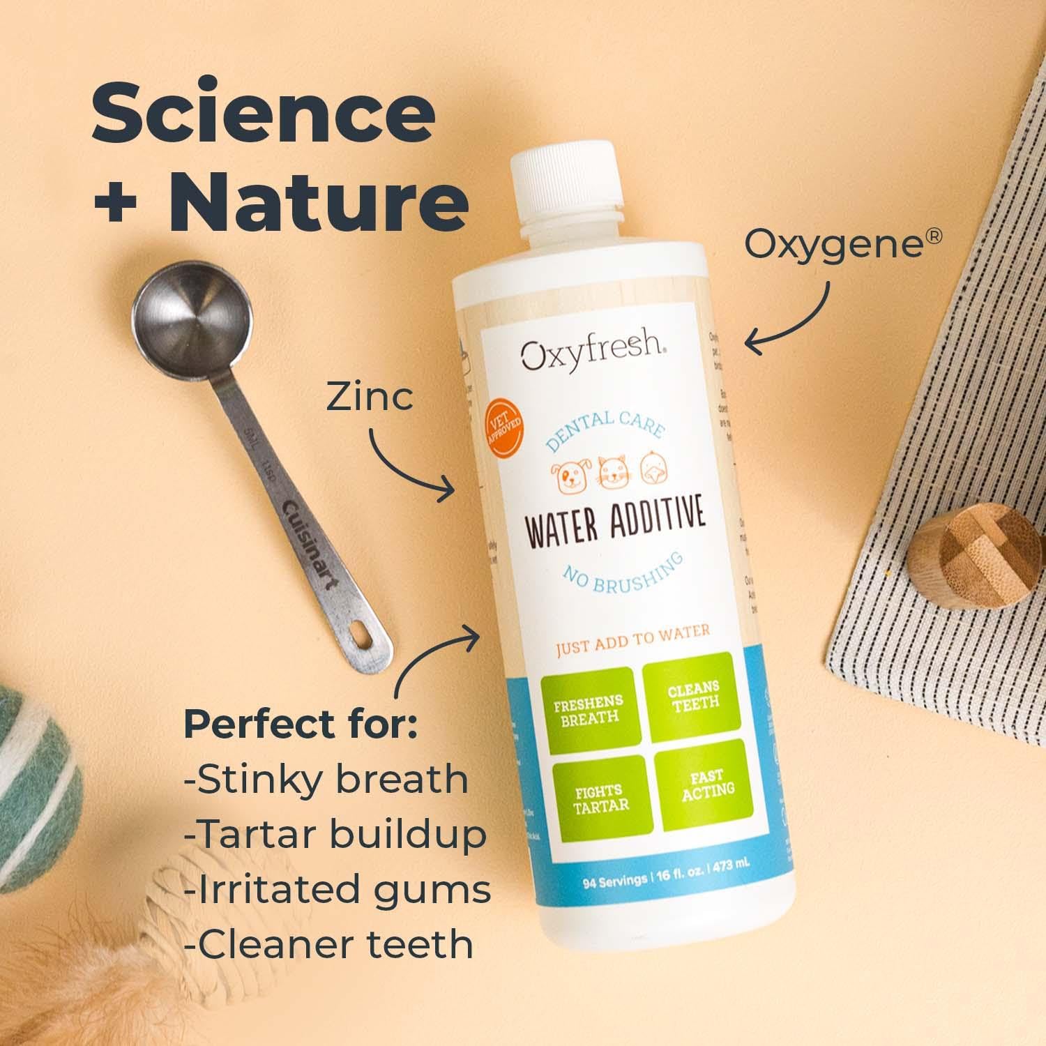 Oxyfresh chat qui boit illustrant tolérance chez félins et bénéfice